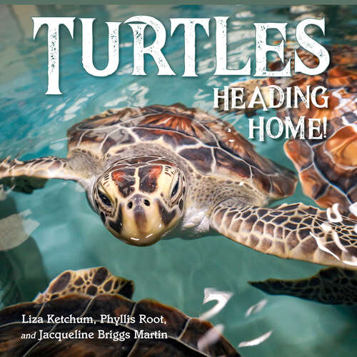 Book cover of Turtles Heading Home!