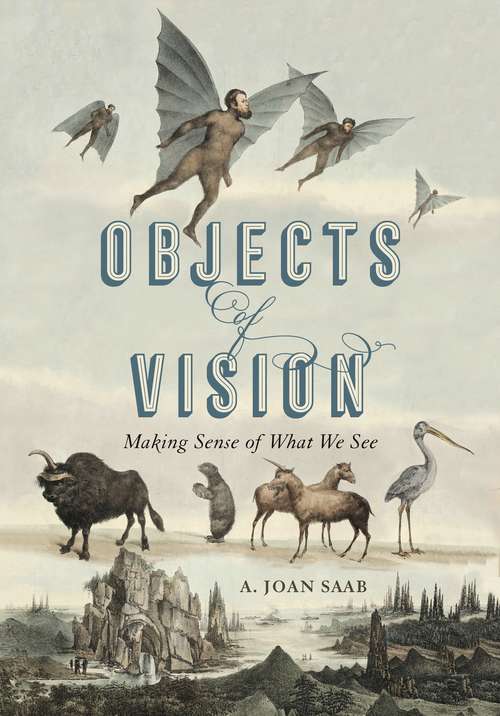 Book cover of Objects of Vision: Making Sense of What We See (Perspectives on Sensory History #3)