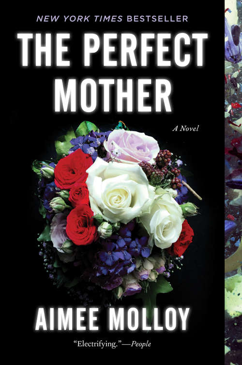 Book cover of The Perfect Mother: A Novel