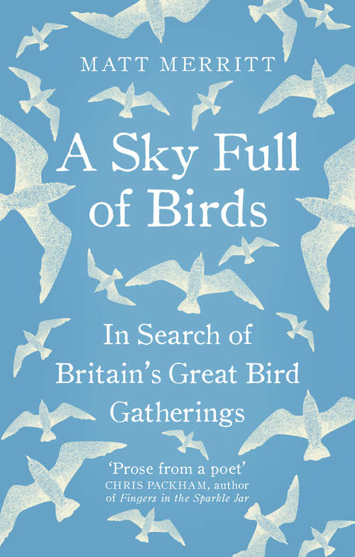 Book cover of A Sky Full of Birds