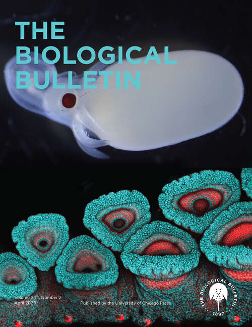 Book cover of The Biological Bulletin, volume 244 number 2 (April 2023)