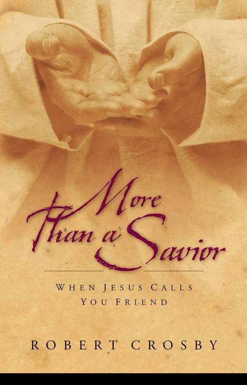 Book cover of More than a Savior