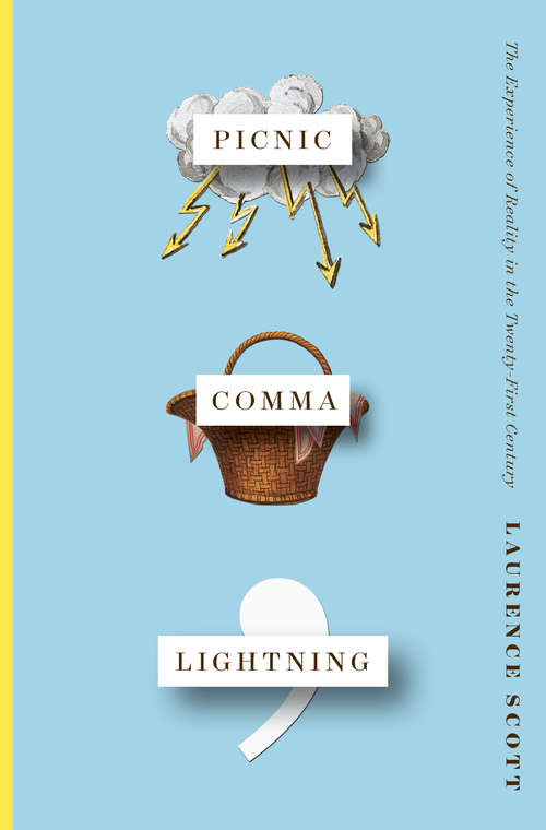 Book cover of Picnic Comma Lightning: The Experience Of Reality In The Twenty-first Century