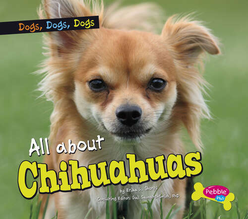 Book cover of All about Chihuahuas (Dogs, Dogs, Dogs Ser.)