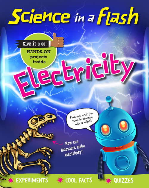 Book cover of Electricity (Science in a Flash #23)