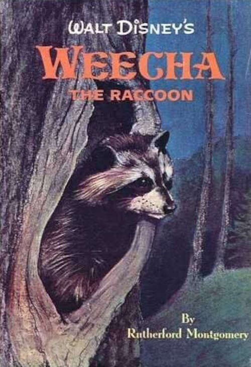 Book cover of Walt Disney's Weecha the Raccoon: A Fact-Fiction Nature Story (Walt Disney's Animal Adventures)