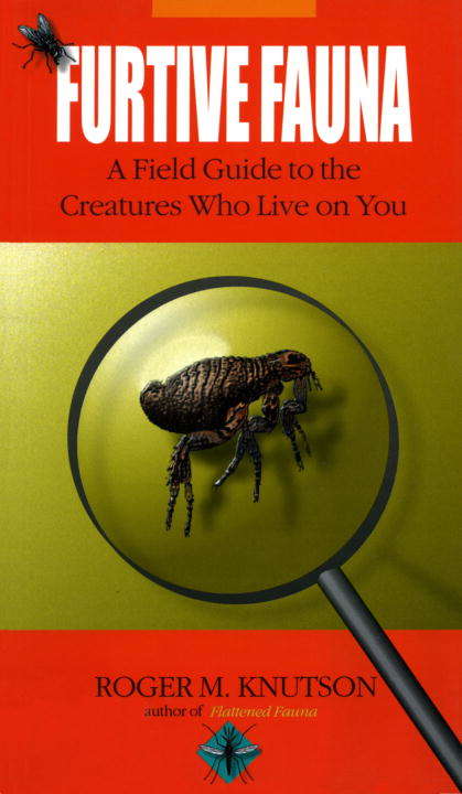 Book cover of Furtive Fauna