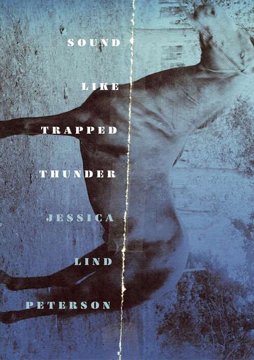 Book cover of Sound Like Trapped Thunder