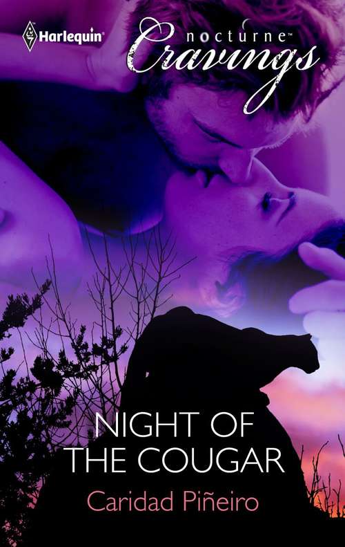 Book cover of Night of the Cougar