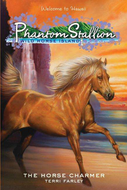 Book cover of Phantom Stallion: The Horse Charmer