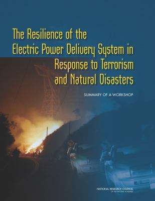 Book cover of The Resilience of the Electric Power Delivery System in Response to Terrorism and Natural Disasters