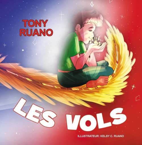 Book cover of Les Vols