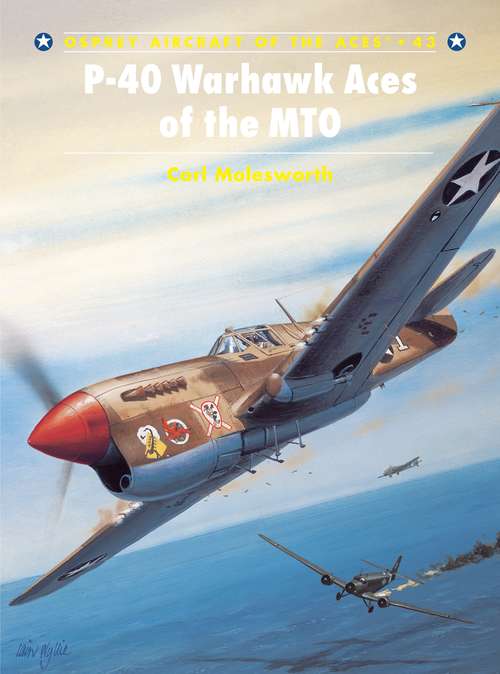 Book cover of P-40 Warhawk Aces of the MTO
