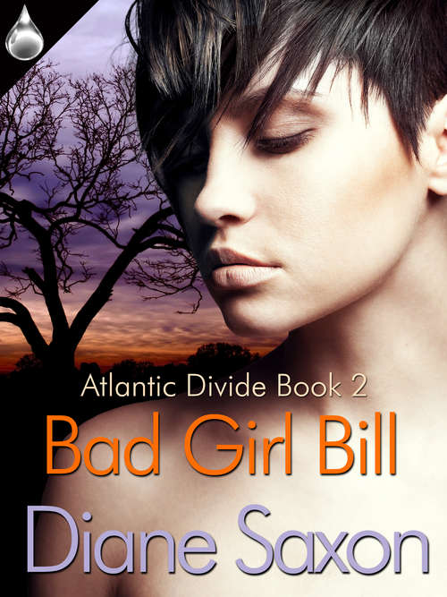 Book cover of Bad Girl Bill
