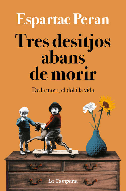 Book cover of Tres desitjos abans de morir: De la mort, el dol i la vida