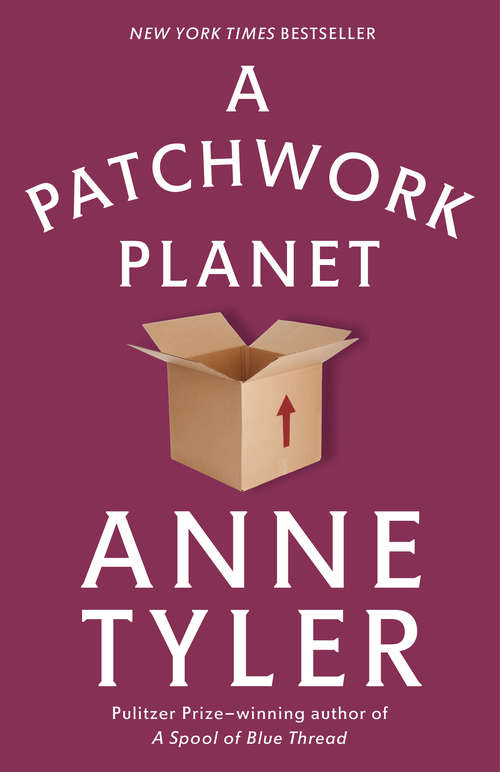 Book cover of A Patchwork Planet