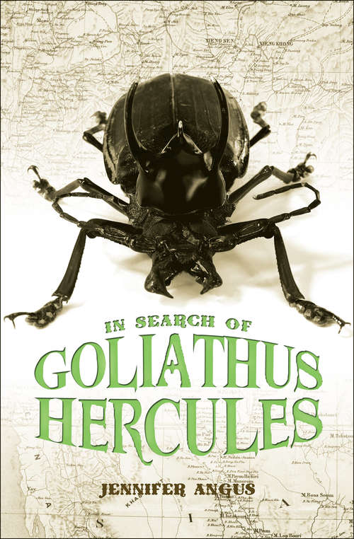 Book cover of In Search of Goliathus Hercules