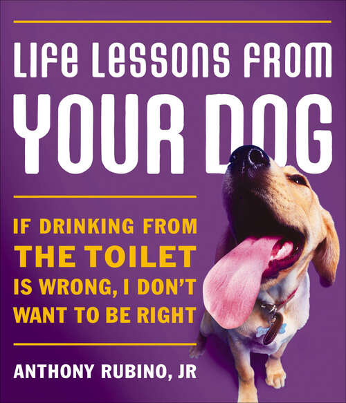 Book cover of Life Lessons from Your Dog: If drinking from the toilet is wrong, I don't want to be right.