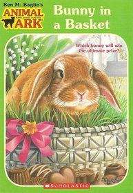 Book cover of Bunny in a Basket (Animal Ark #44)