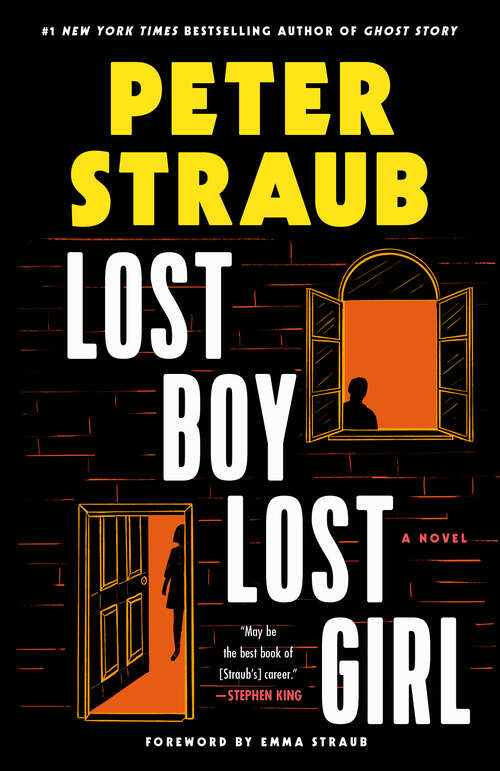 Book cover of Lost Boy Lost Girl: A Novel
