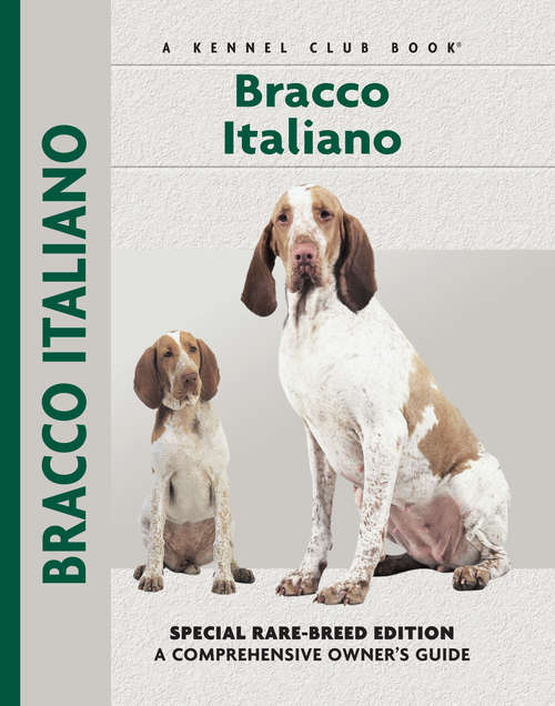Book cover of Bracco Italiano