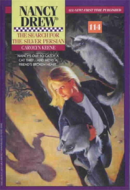 Book cover of The Search for the Silver Persian (Nancy Drew #114)