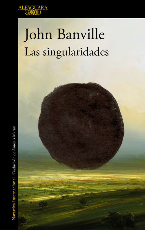 Book cover of Las singularidades