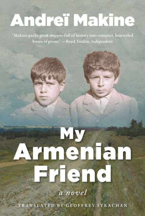 Book cover of My Armenian Friend: A Novel