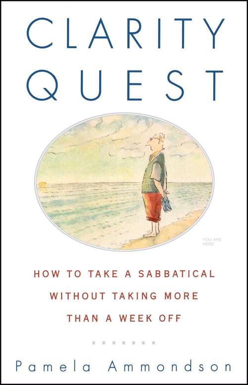 Book cover of Clarity Quest
