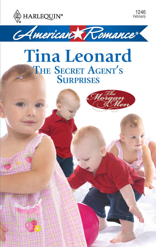 Book cover of The Secret Agent's Surprises