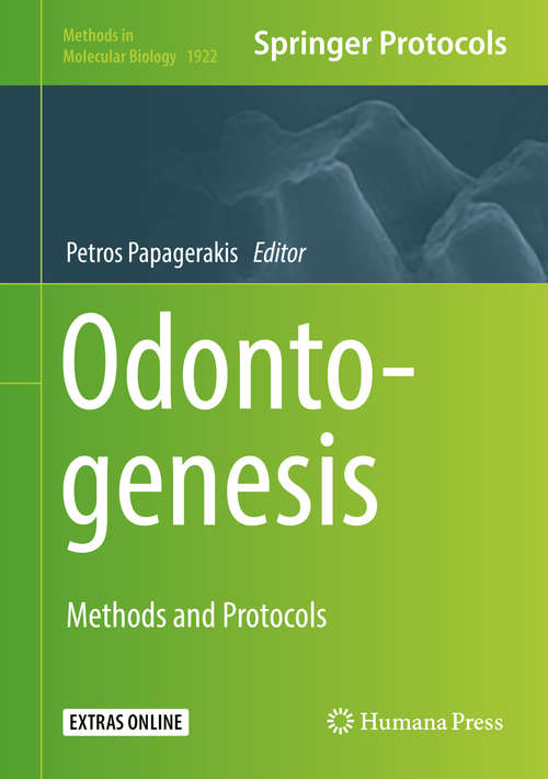 Book cover of Odontogenesis: Methods and Protocols (1st ed. 2019) (Methods in Molecular Biology #1922)