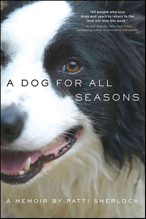 Book cover of A Dog for All Seasons: A Memoir