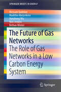 The Future of Gas Networks: The Role of Gas Networks in a Low Carbon Energy System (SpringerBriefs in Energy)