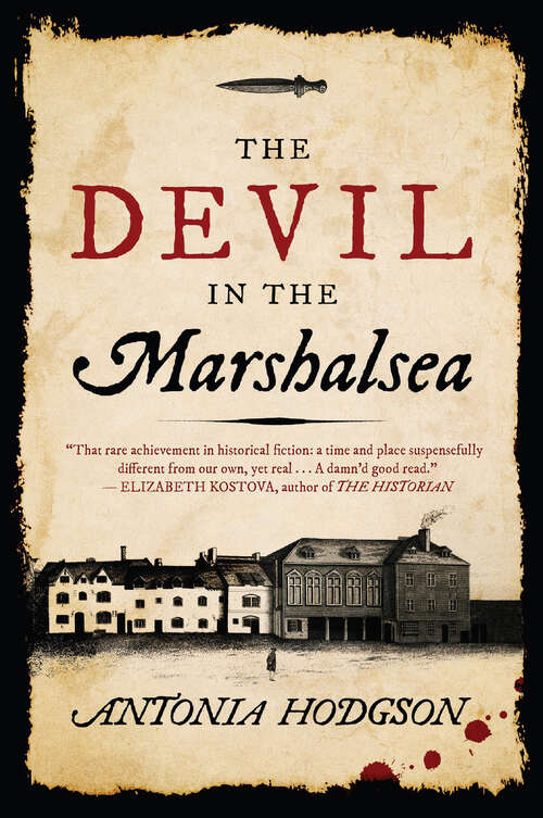 Book cover of The Devil in the Marshalsea
