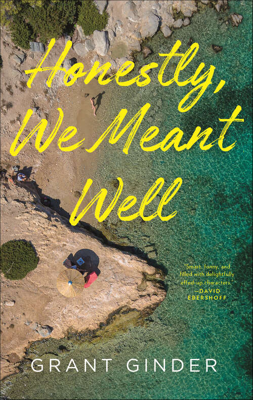 Book cover of Honestly, We Meant Well: A Novel