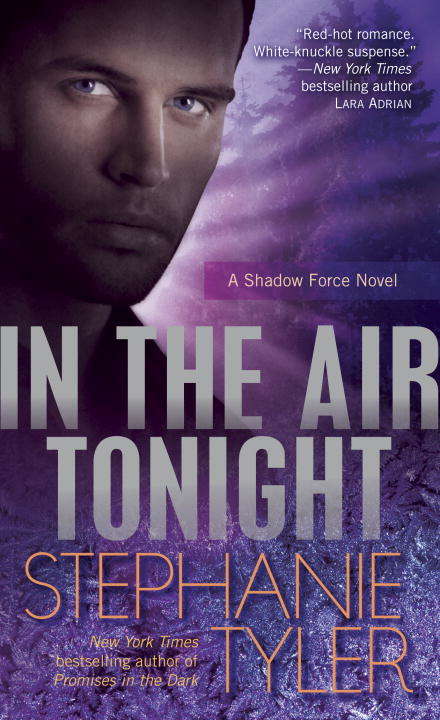 Book cover of In the Air Tonight