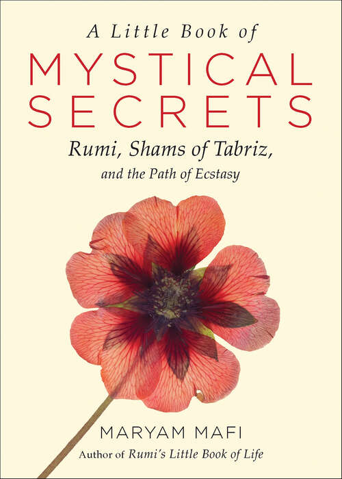 Book cover of A Little Book of Mystical Secrets: Rumi, Shams of Tabriz, and the Path of Ecstasy