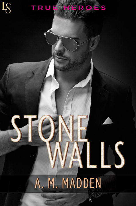 Book cover of Stone Walls: A True Heroes Novel (True Heroes #1)