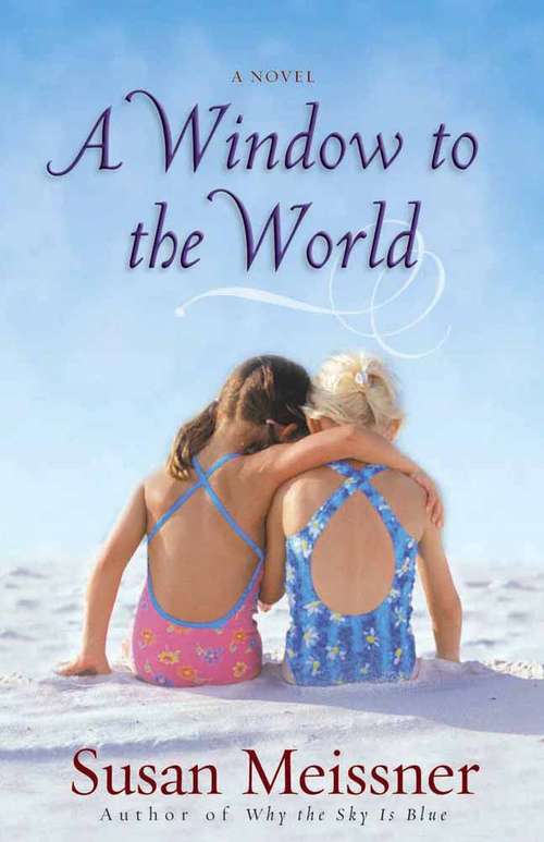 Book cover of A Window To The World
