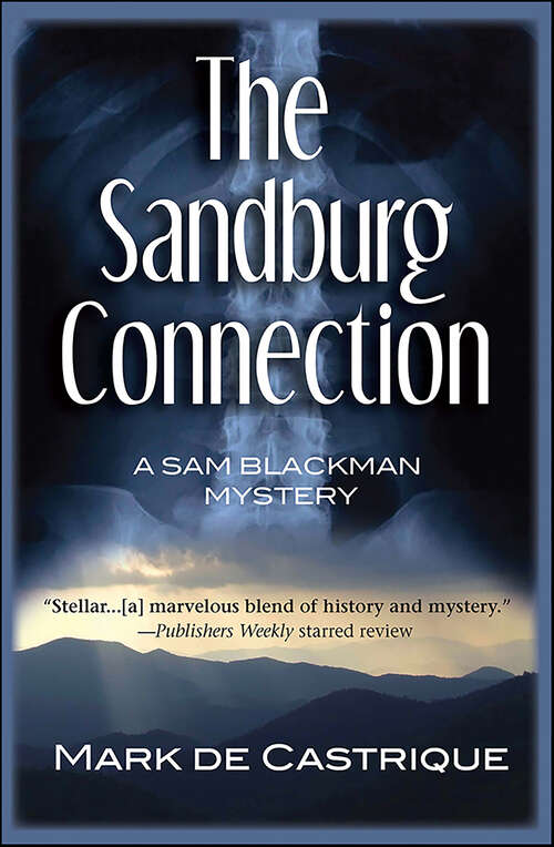 Book cover of The Sandburg Connection: A Sam Blackman Mystery (Blackman Agency Investigations #3)