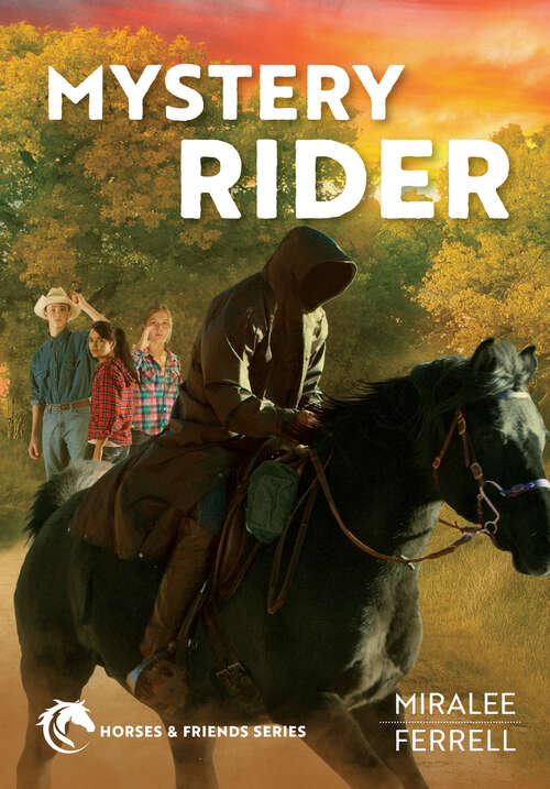 Book cover of Mystery Rider