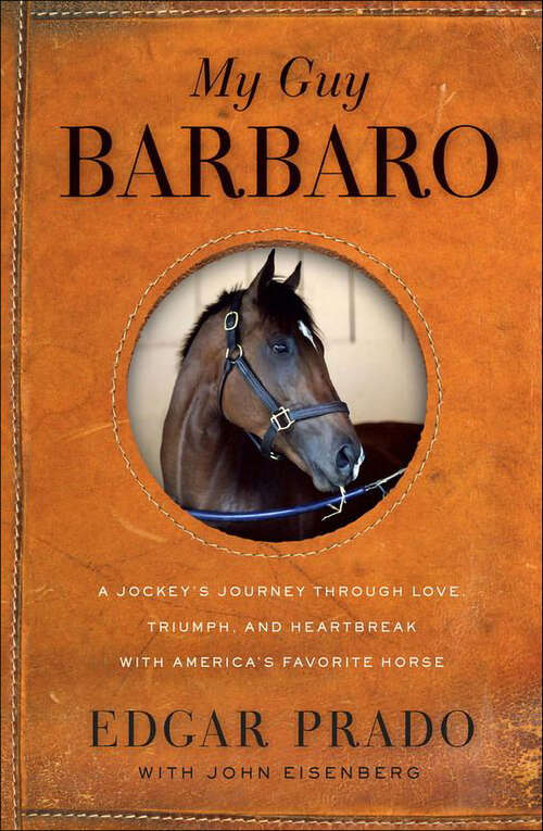 Book cover of My Guy Barbaro