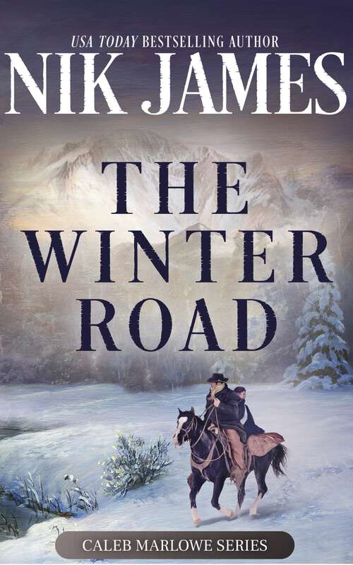 Book cover of The Winter Road (1)