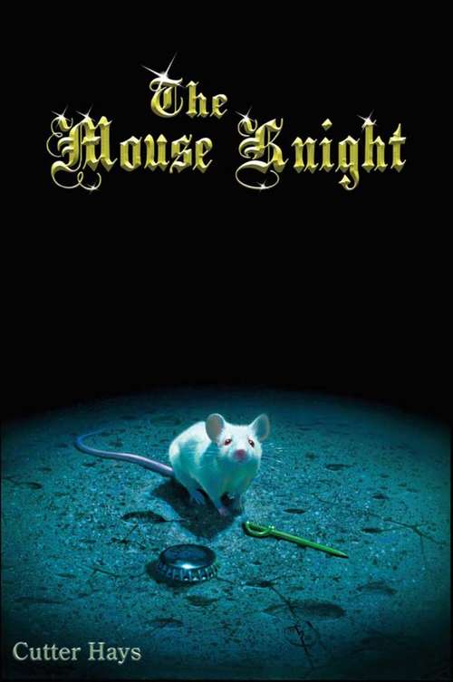 Book cover of The Mouse Knight