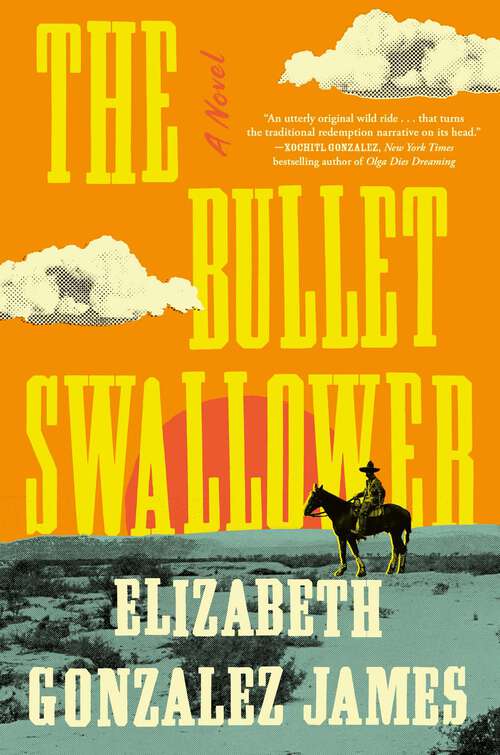 Book cover of The Bullet Swallower: A Novel