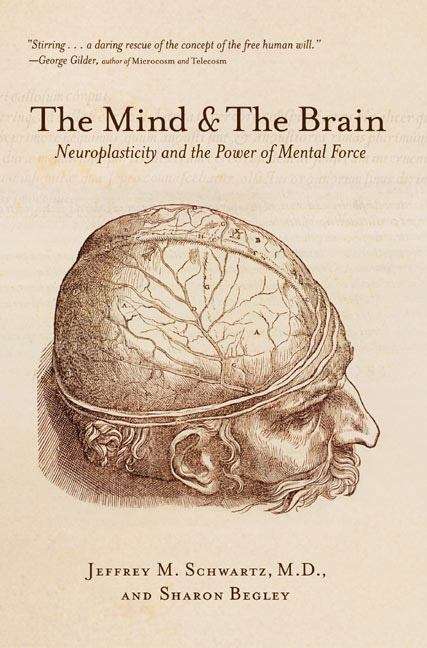 Book cover of The Mind And The Brain: Neuroplasticity And The Power Of Mental Force