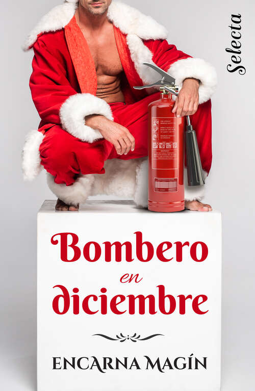 Book cover of Bombero en diciembre