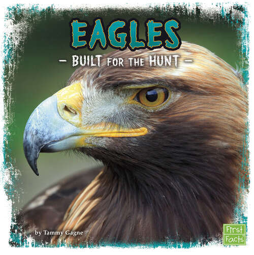 Book cover of Eagles: Built For The Hunt (Predator Profiles Ser.)