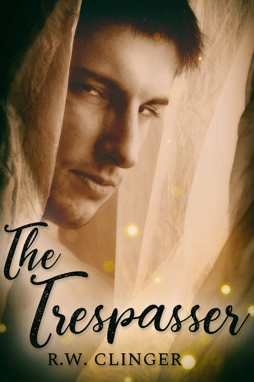 Book cover of The Trespasser
