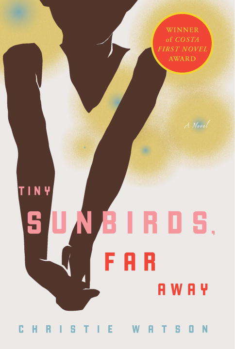 Book cover of Tiny Sunbirds, Far Away